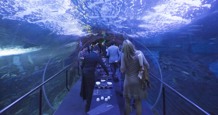 Aquarium oceanarium